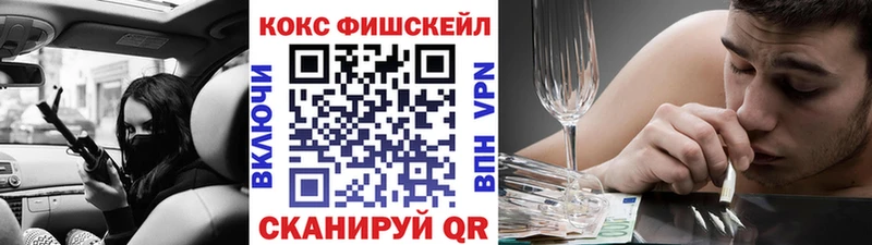 КОКАИН Fish Scale  Купить где  Северск 