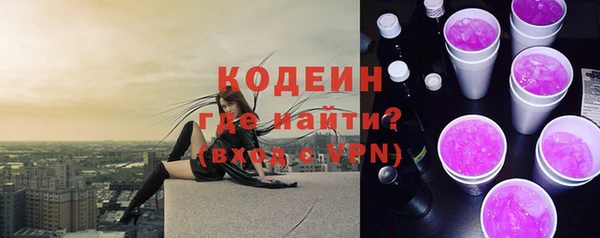 индика Балахна
