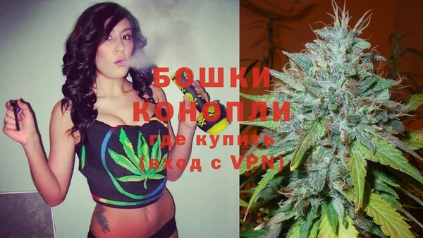 индика Балахна