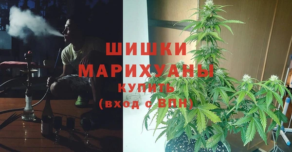 индика Балахна